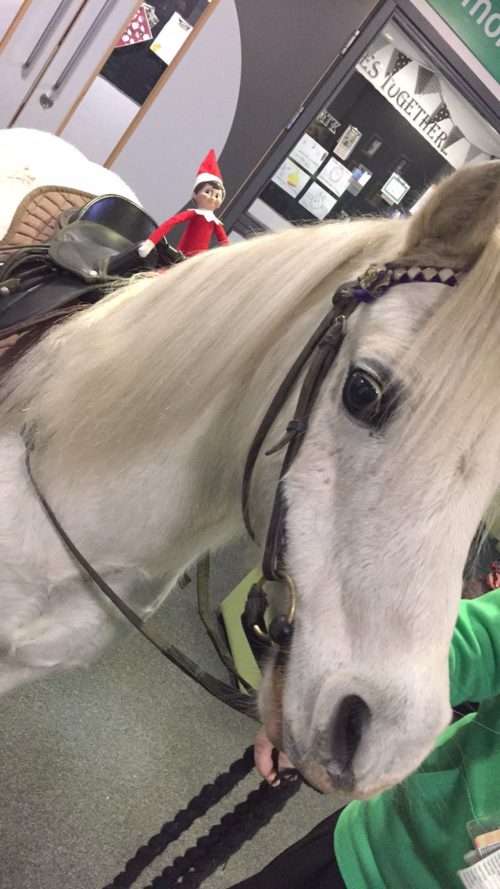 horse-riding