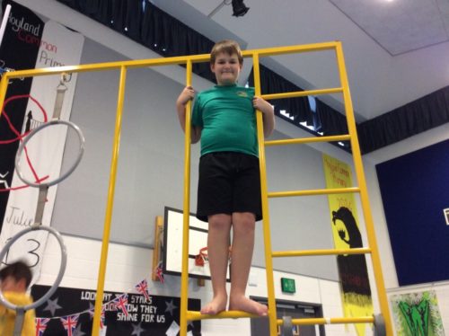 Seesaw_19-01-2017 02:54:25