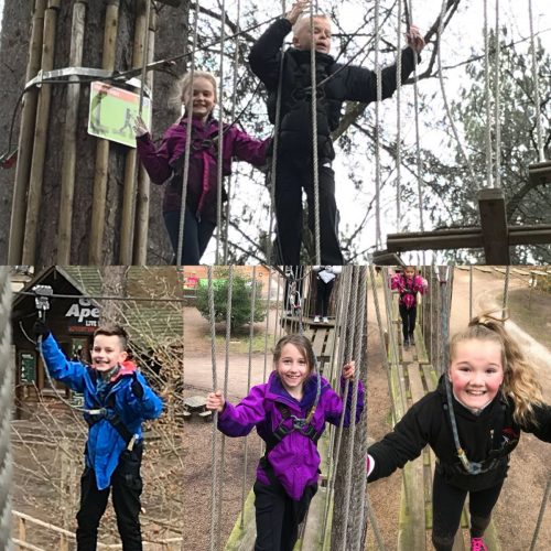 178816E2-C9E7-4B67-A1D1-B9A6E38E878A