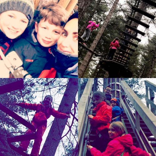 7838AA7E-0E6F-47A8-8B8A-33F42E5480AF