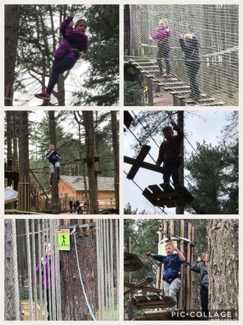 85B22C30-6AB4-4D15-BC74-7E7FF8BCA47E