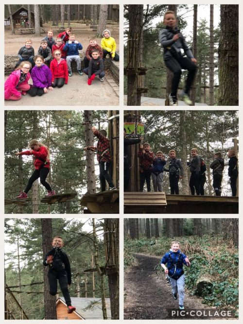 F0E8D813-BA0F-468C-9680-5CD9F6EABEA7