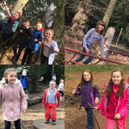 FC7A822E-511A-490E-8DA5-48B9FC22BD48