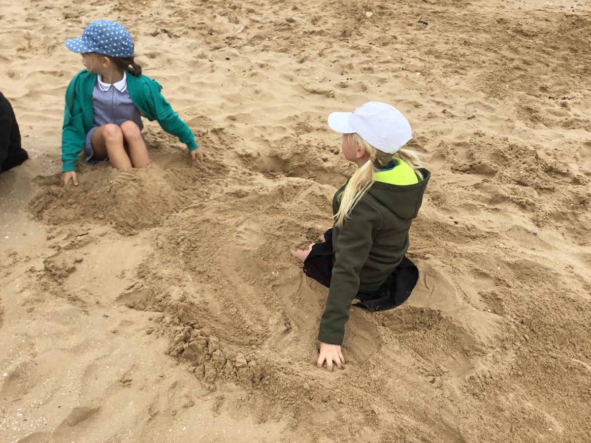 15768073-3A47-44BF-A42B-95A9168678EB