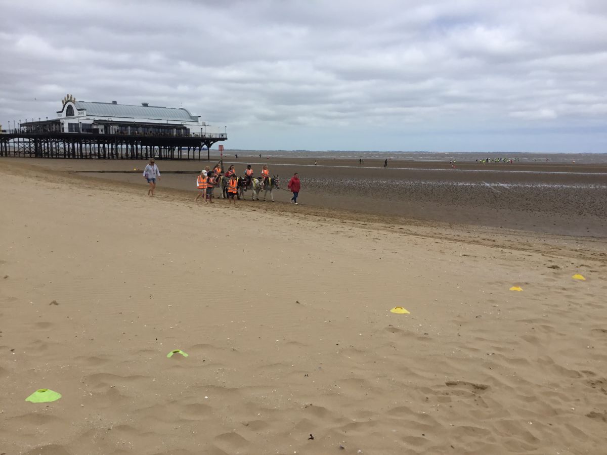 C84DF835-70E2-4695-B93A-1A9318CDA212