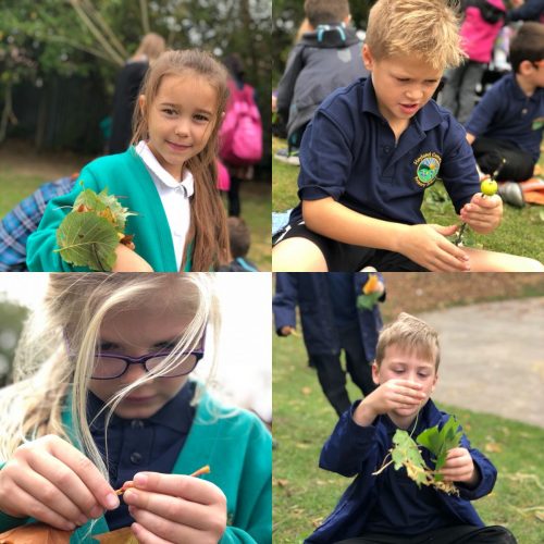 0FF2E2FD-A724-4A08-ACD6-977CE3C29C66