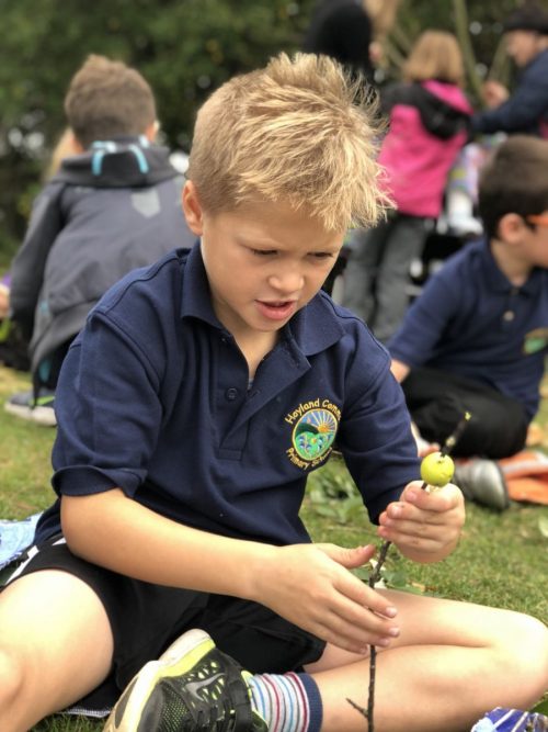 433FACA0-68B3-4994-927B-491C4632F12F