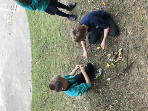 D260140C-2635-4455-B66F-6DB01FB7D1F1