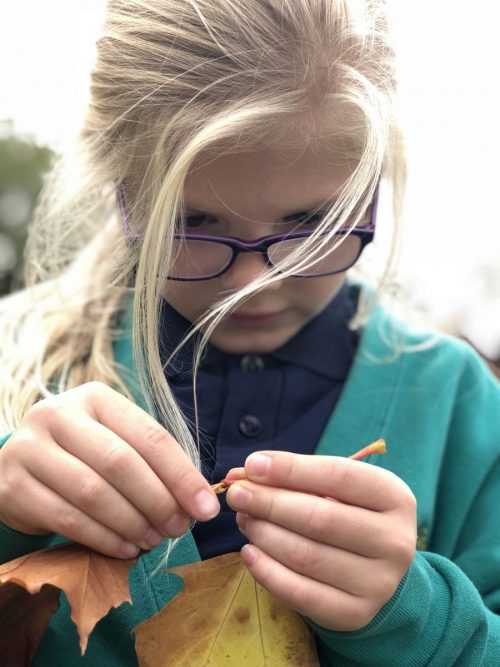 ED14E5F2-847B-4E44-9174-E9E1BFCC9010